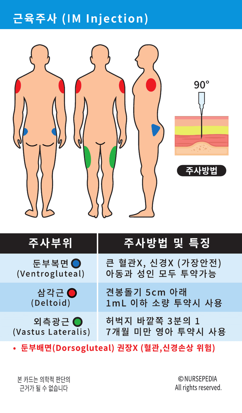 간호지식카드