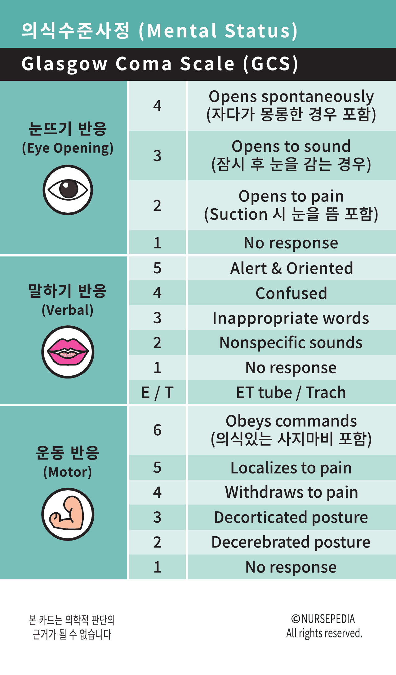 간호지식카드 USA